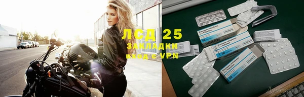 гашик Пересвет