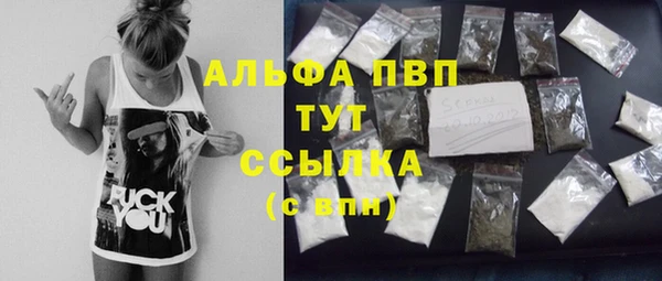 гашик Пересвет