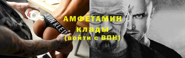 гашик Пересвет