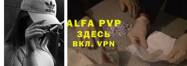 гашик Пересвет