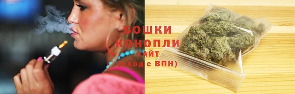 гашик Пересвет