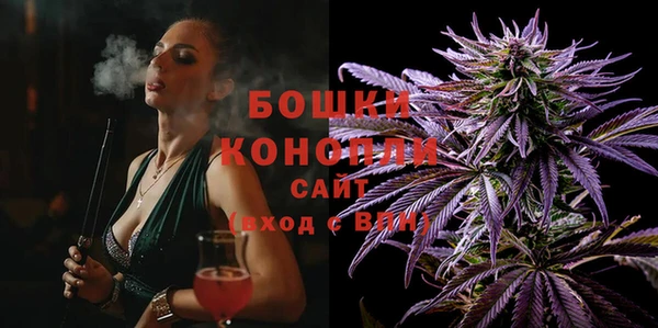 гашик Пересвет