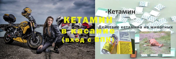 гашик Пересвет