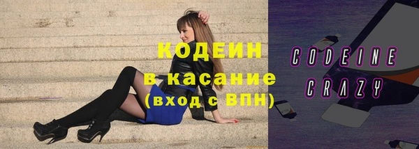гашик Пересвет