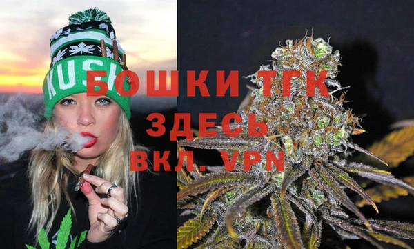 гашик Пересвет